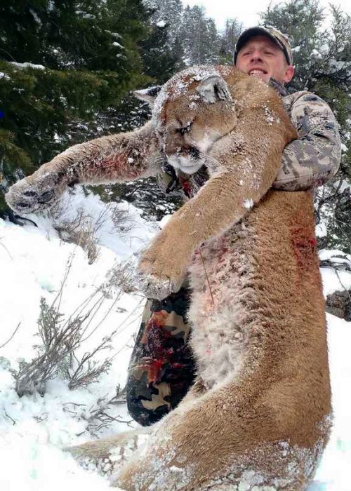 Book Your Wyoming Mountain Lion Hunt Now