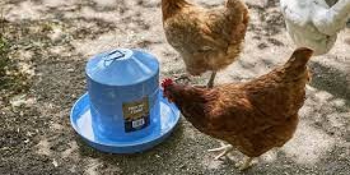 Top Reasons Chicken Waterers Are a Must-Have for Your Coop