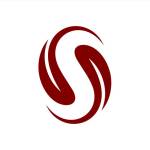 Split Sports Profile Picture