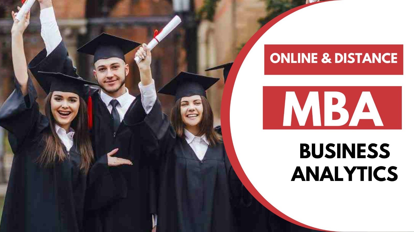 Online & Distance MBA in Business Analytics
