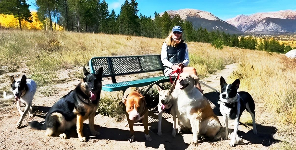 Best Dog Walker & Pet Sitter Services – Hailee the Pet Sitter and Dog Walker
