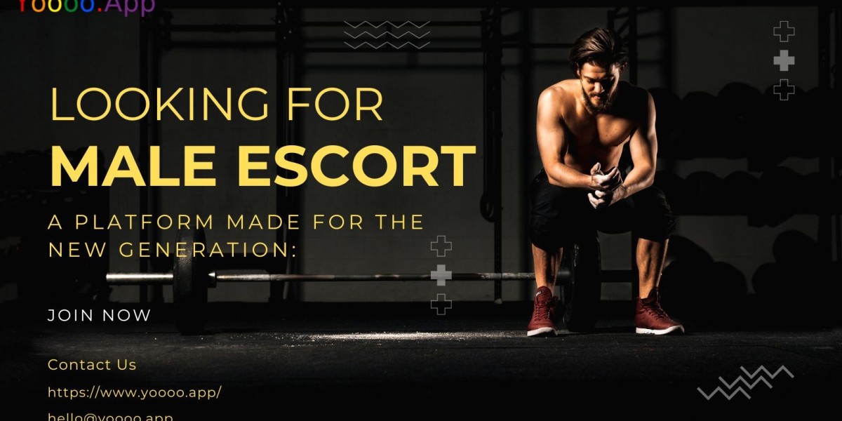 Why Opt for Expert Gigolos in Noida? Key Benefits You Should Know