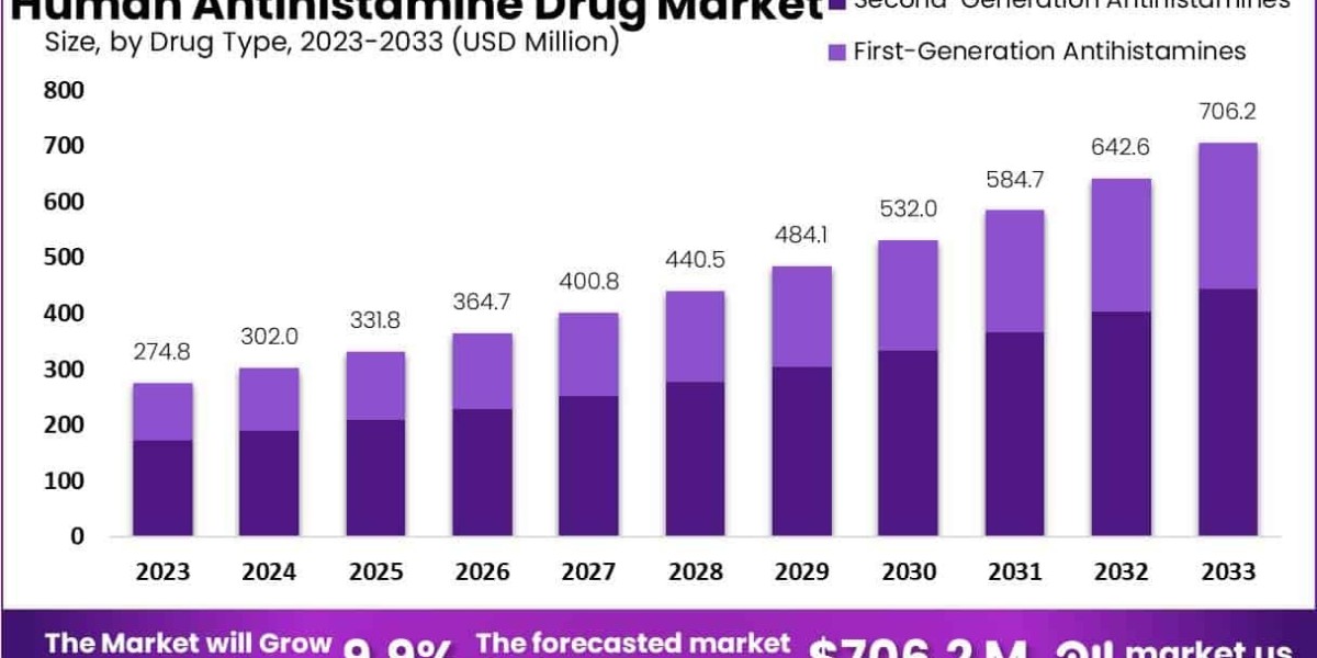Human Antihistamine Drug Market Role in Allergy and Cold Treatment