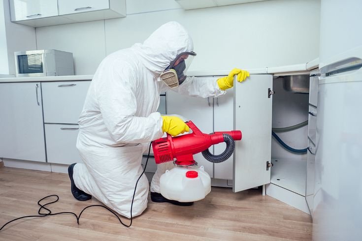Pest Control Service: Protecting Homes and Businesses from Pests - Digital News Trending - Most Trending News On Internet Worldwide
