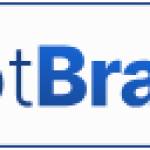 bot brain Profile Picture