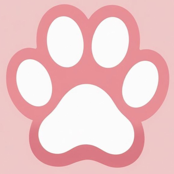 Maltipoo & Toy Puppies for Sale in California | Only Pups