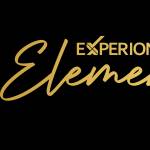 experion Elements Profile Picture