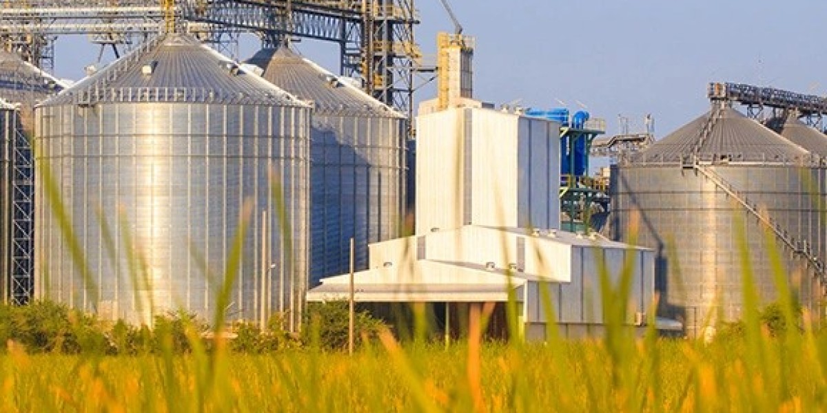 Kerala Rice Mills: The Backbone of Traditional Rice Varieties and a Gateway to Authentic Kuruva Rice