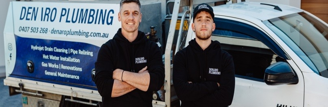 Denaro Plumbing Cover Image