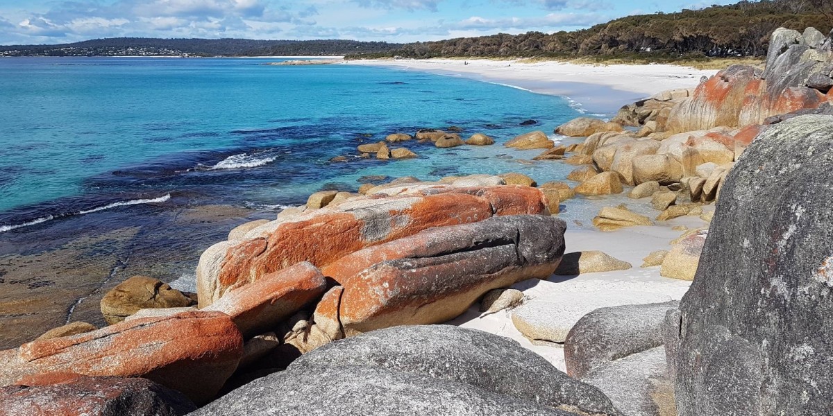 Discover Untamed Beauty with Wild Tasmania Tours Today