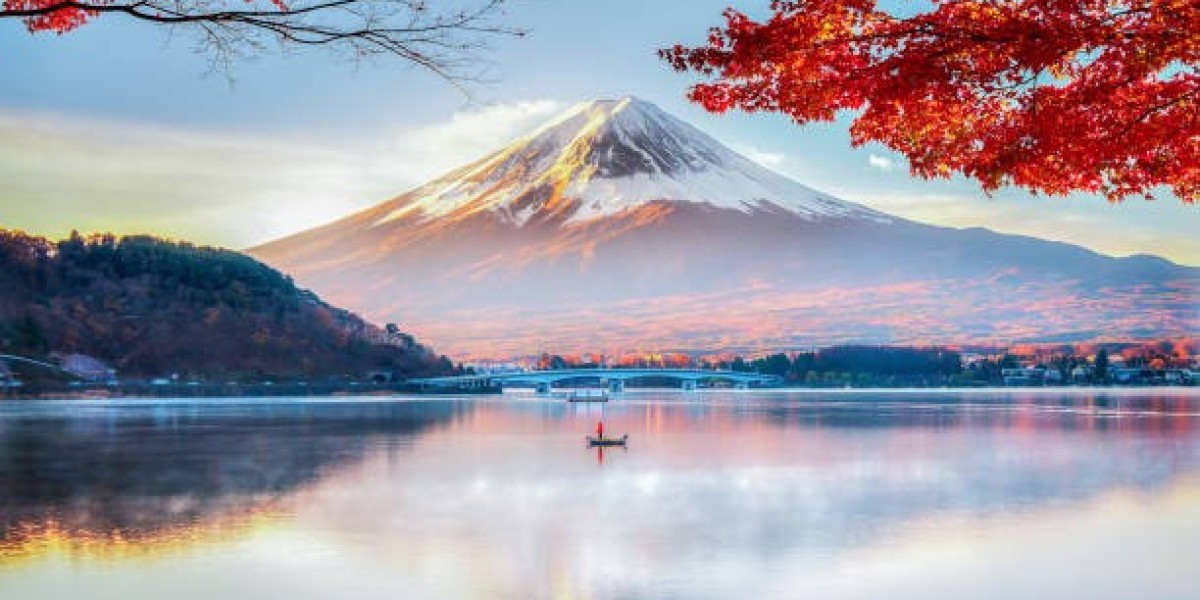 How to Learn JLPT N5 Sentence Patterns Effectively