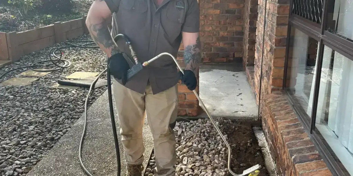Termite Control in Sydney: Safeguarding Your Property from Silent Destroyers