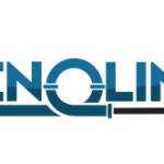 Renoline Profile Picture