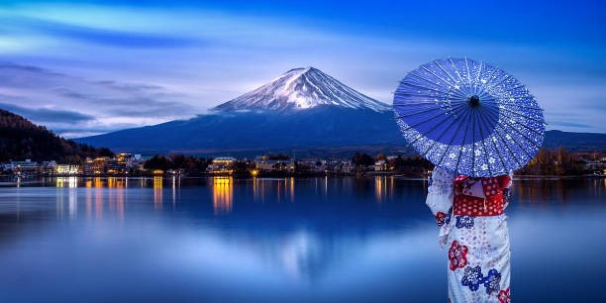 A Local’s Guide to Unforgettable Tokyo Tours