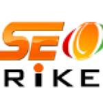 SEO Strikers Profile Picture
