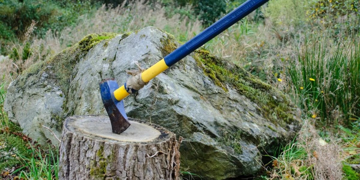 Tree Stump Removal in Plymouth: Everything You Need to Know