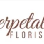 Everpetal Florist Profile Picture