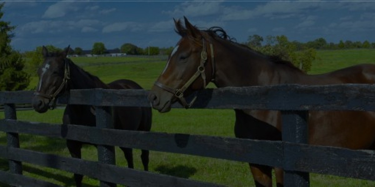 Horse Country Properties