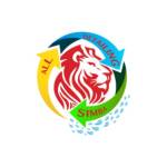 All Detailing Simba Profile Picture