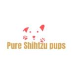 Pure Shih Tzu Pups Profile Picture