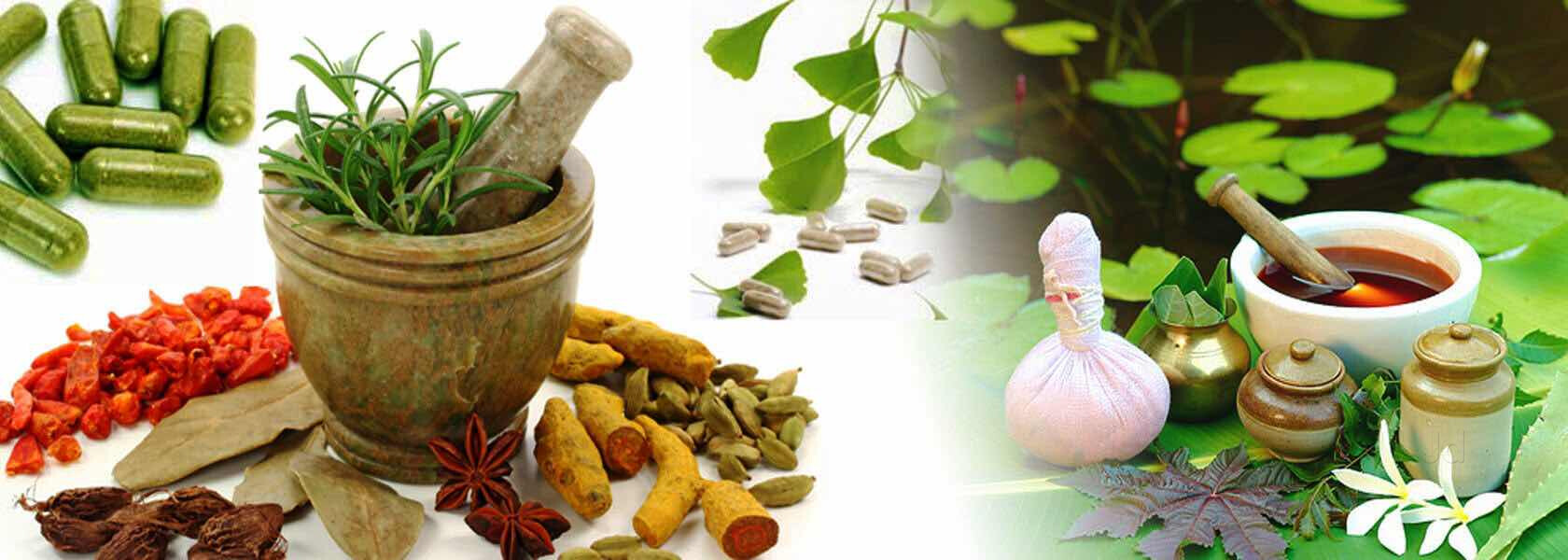 qudarti moringa capsules Cover Image