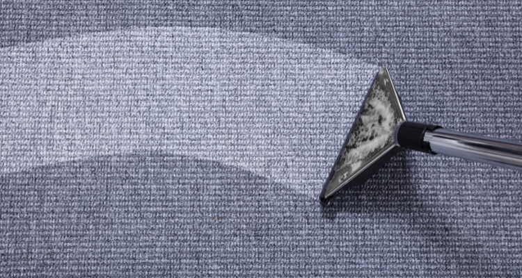 EVER STEAM CARPET CLEANING SERVICE Cover Image