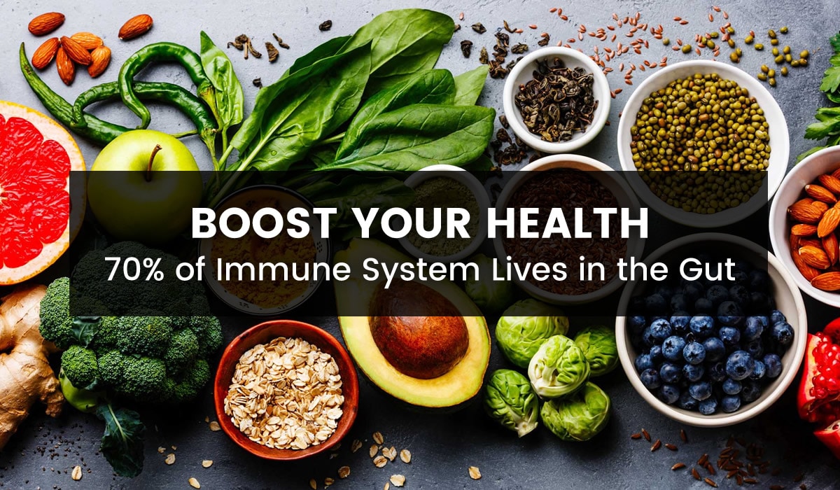 Gut Health & Immunity:#1 Your Body’s Hidden Defense