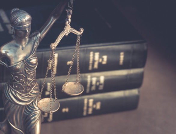 Goins Law Cover Image