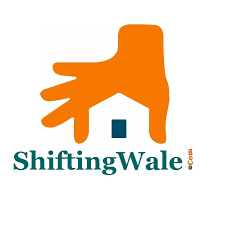 Shiftingwalee Profile Picture