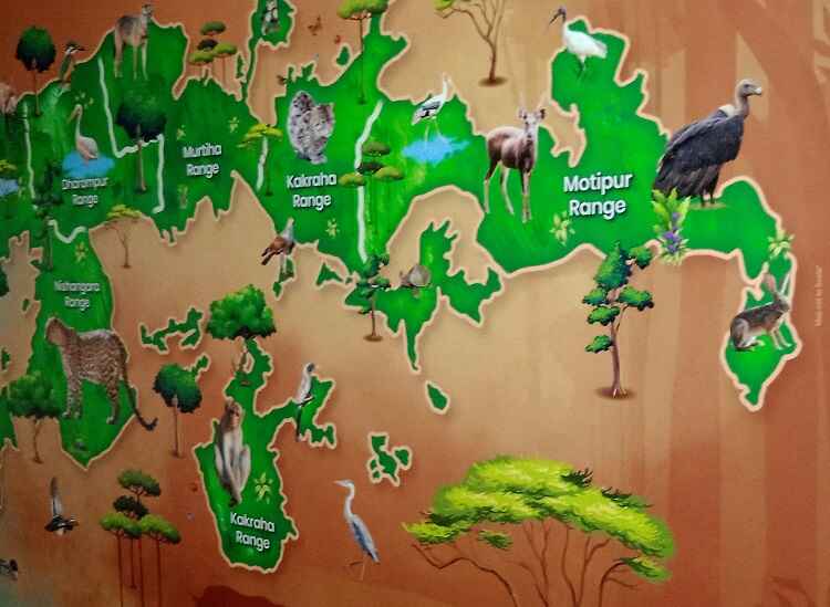 Blog : Top 7 Wildlife Species to Spot in Katarniaghat – A Jungle Safari Guide