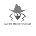 Auora Hackers Group's profile on Notebook.ai