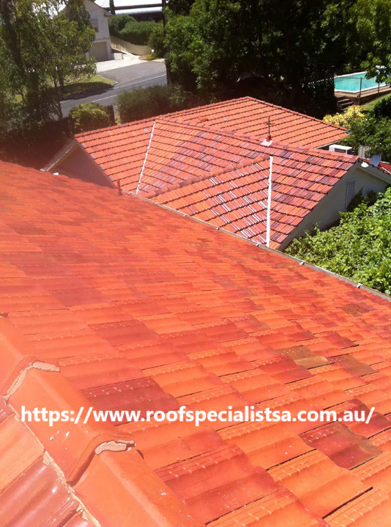 Roof Specialist SA Cover Image