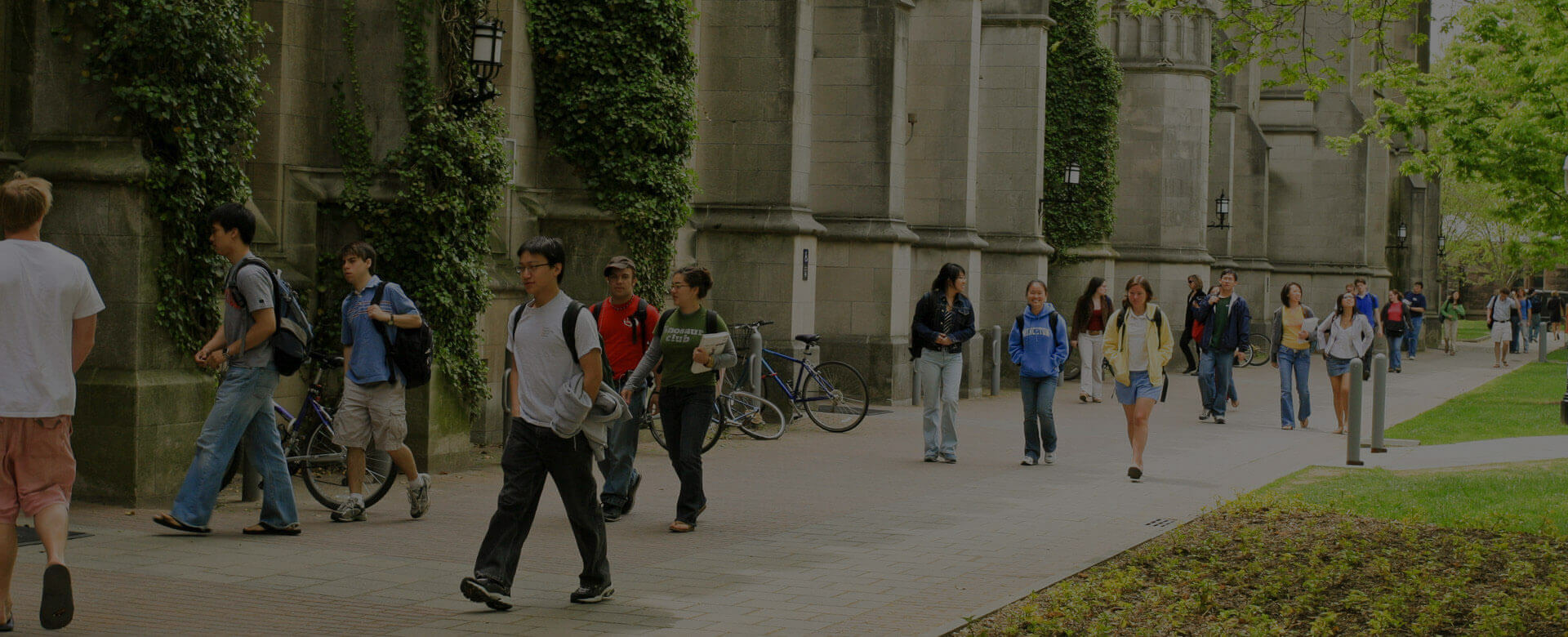 Take My Online Exams Cover Image