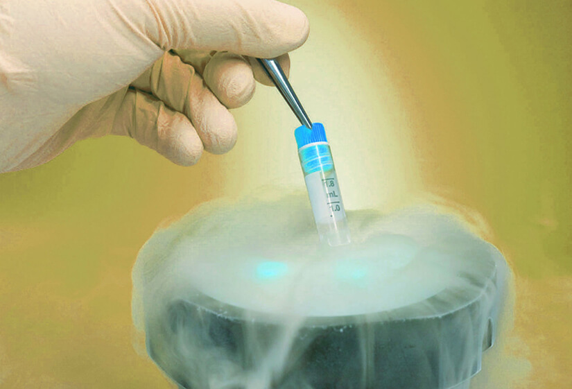 How Successful is Egg Freezing Process?