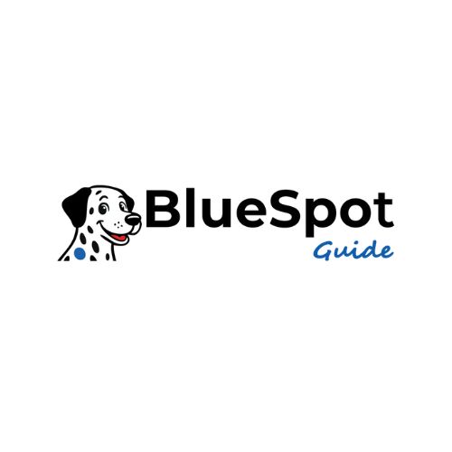 BlueSpot Guide Profile Picture