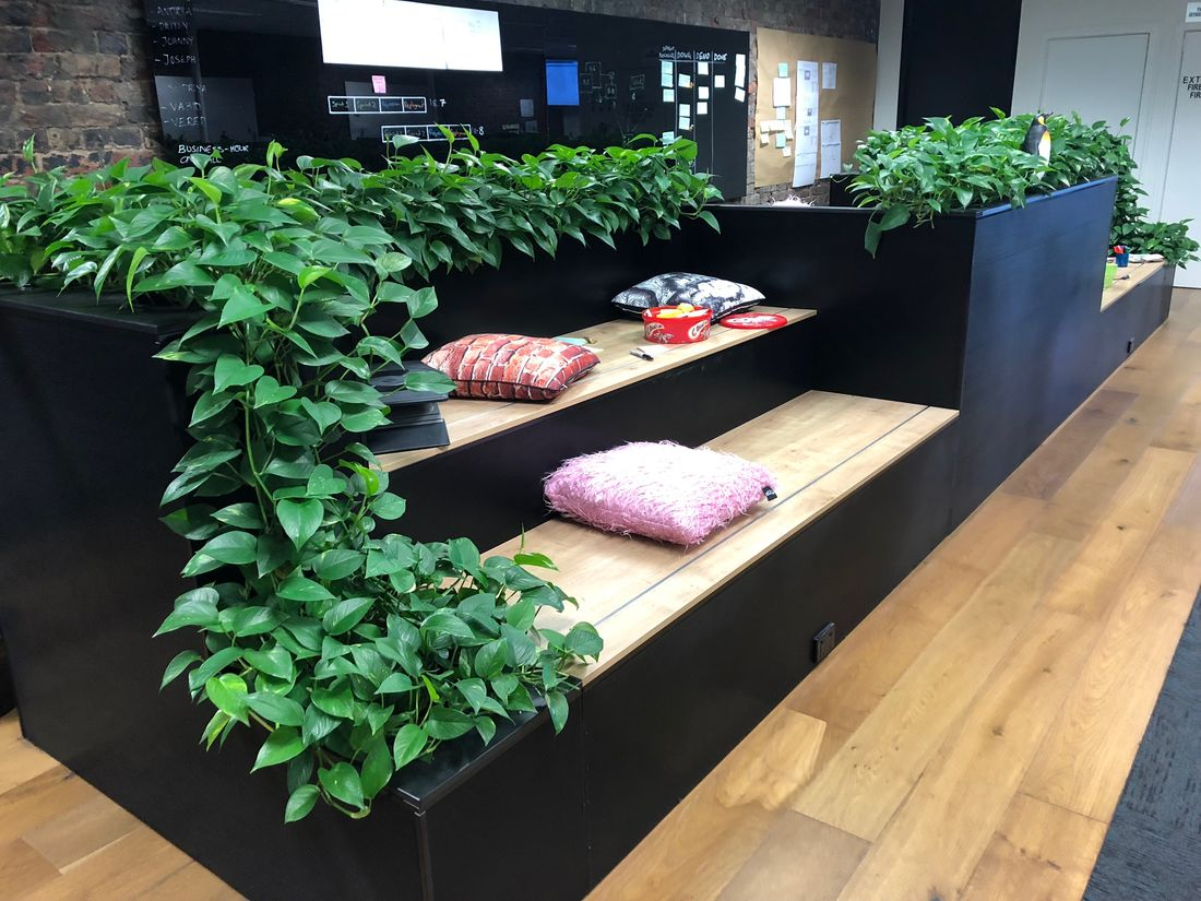 Luwasa Indoor Plant Hire Cover Image