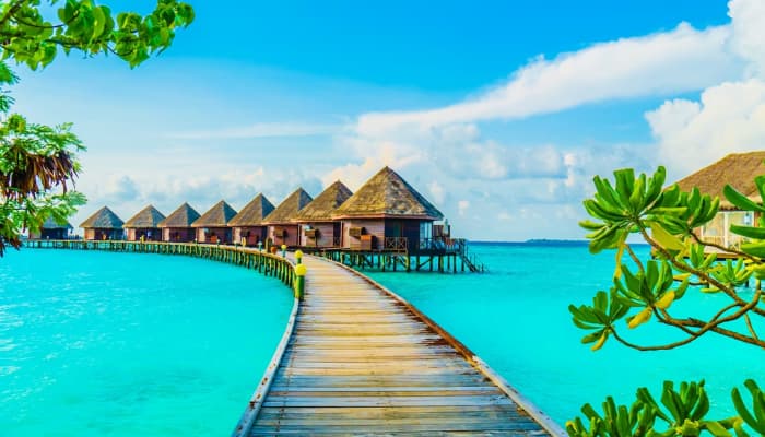 lakshadweeptourism Profile Picture