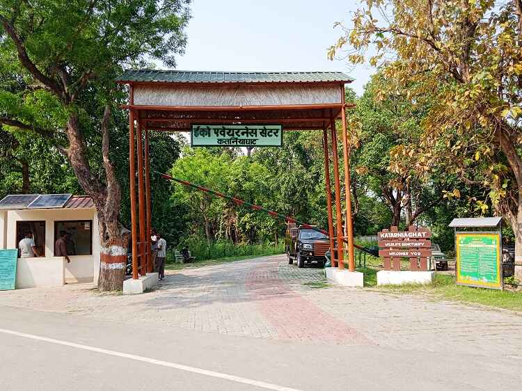 Blog : Why Katarniaghat is a Hidden Gem of Dudhwa Tiger Reserve