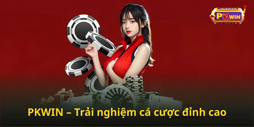 PKWIN NET Cover Image
