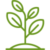 Tree Service Loudoun County VA | Masonry Leesburg VA