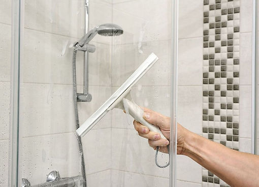 Professional Cleaning Services | REISS CLEANING in Malabar, FL