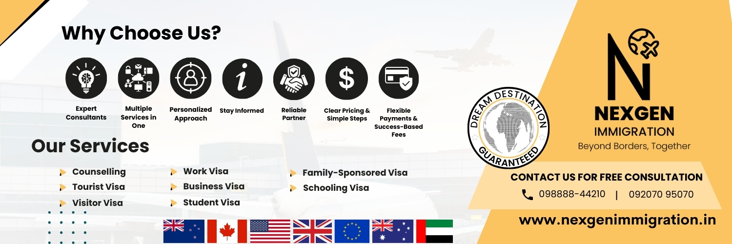 NexGen Immigration Cover Image