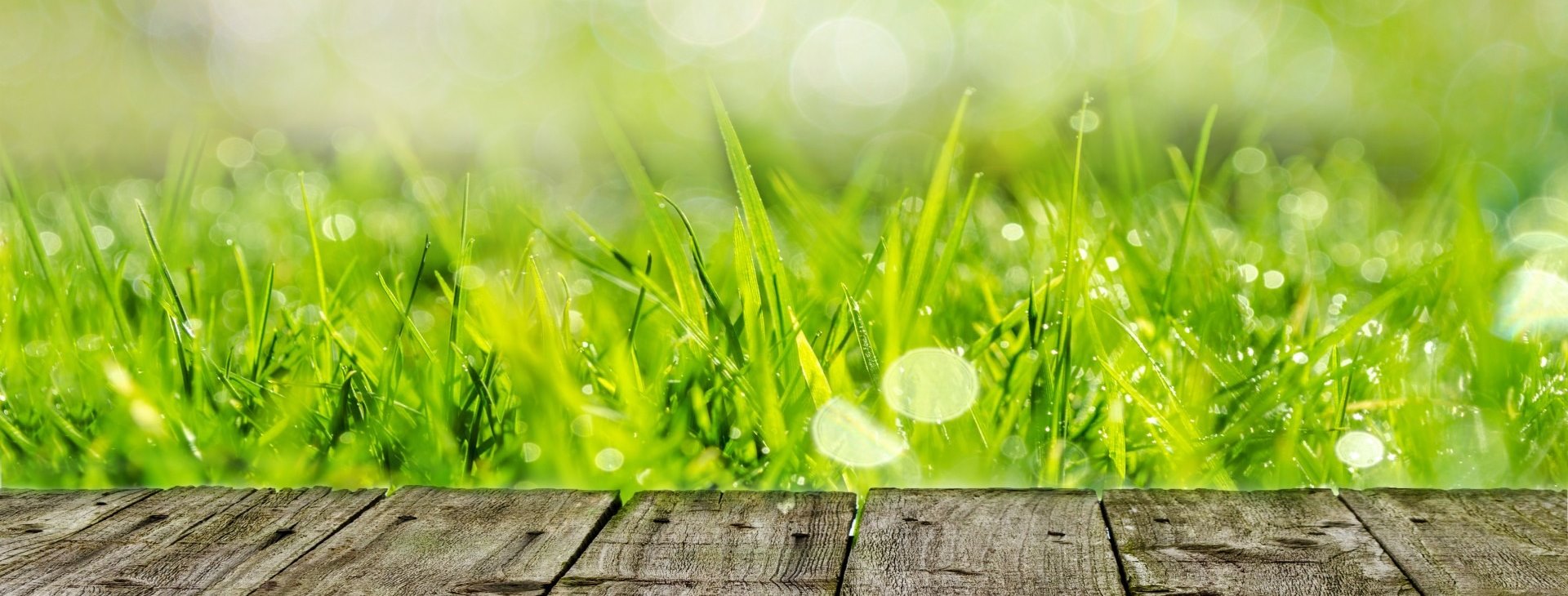 Steves Lawns Inc Cover Image
