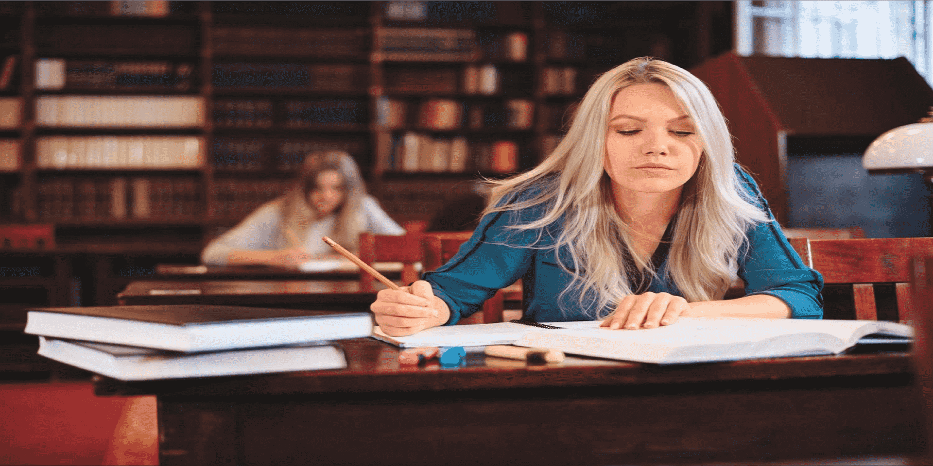 Dissertation Help Online | The Assignment Helpline