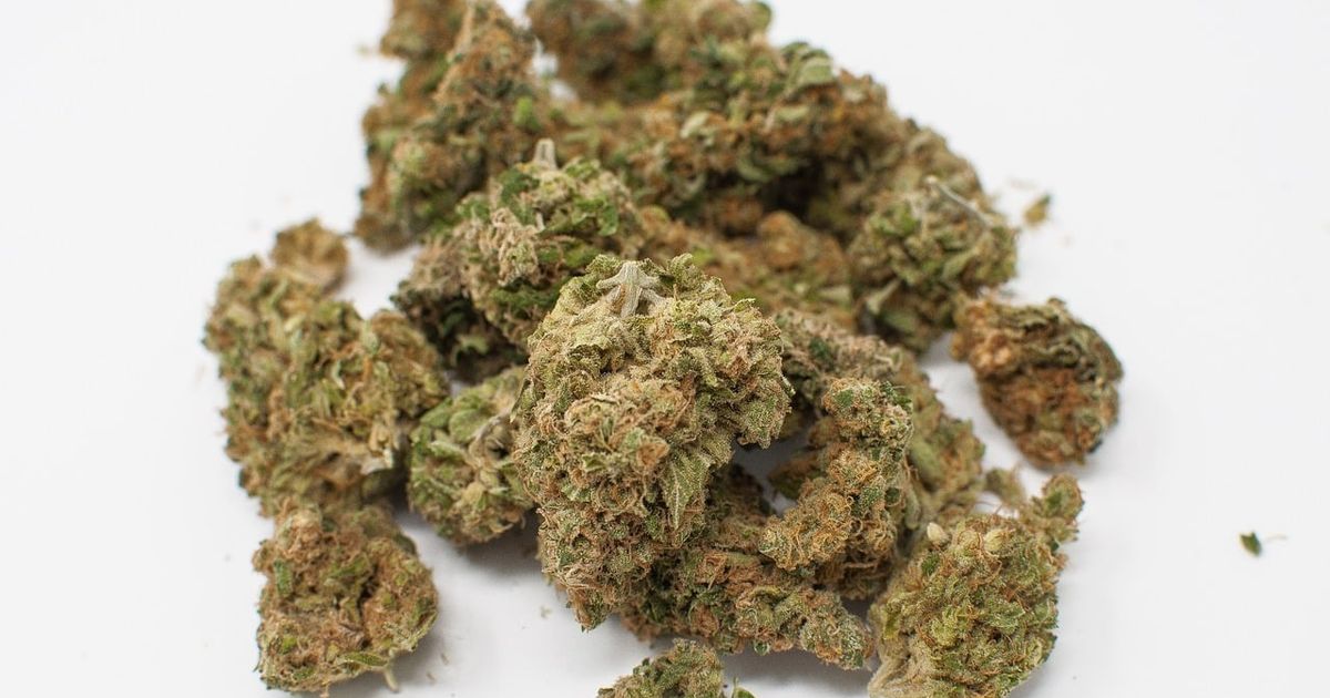 Get Weed Delivered Today in British Columbia