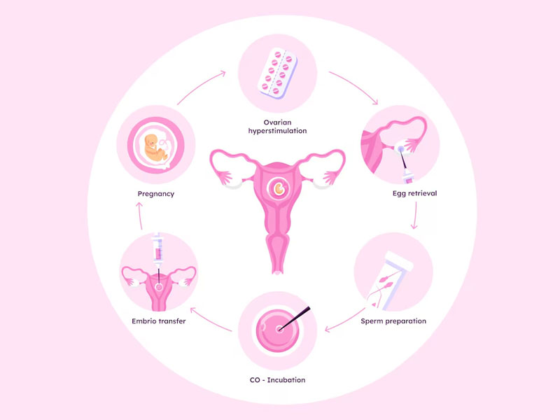 Best IVF Centre In Delhi NCR With High Success Rates