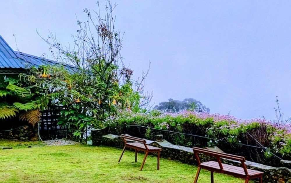 Explore Vattakanal Valley View Resorts and the Best Kodaikanal Resorts for Couple Family