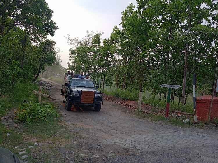 Book Jungle Safari at Katarniaghat Wildlife Sanctuary - Jeep & Boat Safari Booking