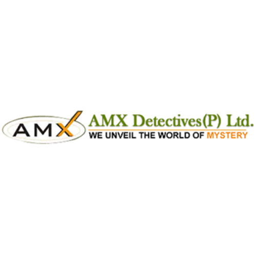 AMX DETECTIVE Profile Picture