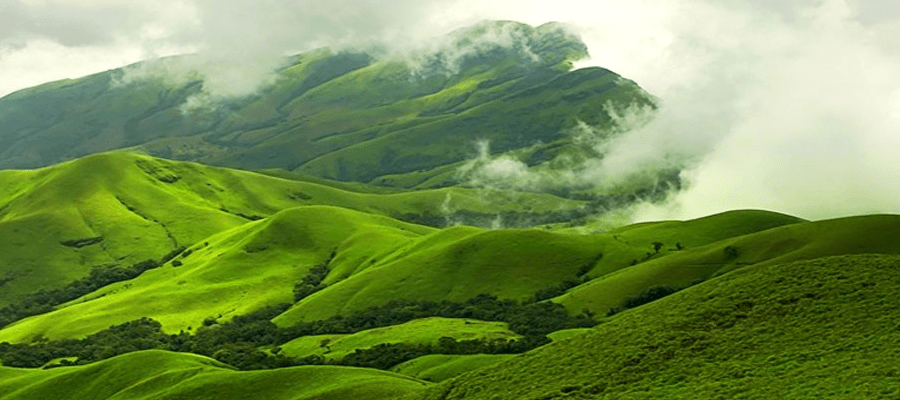 Chikkamagalur Karnataka Cover Image